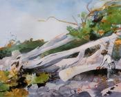 温斯洛 荷默 : Guide Hiding a Canoe